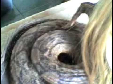 Onlaynda buzuq porno tomosha qiling Porno video hayvon Eoo film