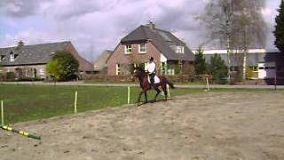 Zazou11042012 055.AVI