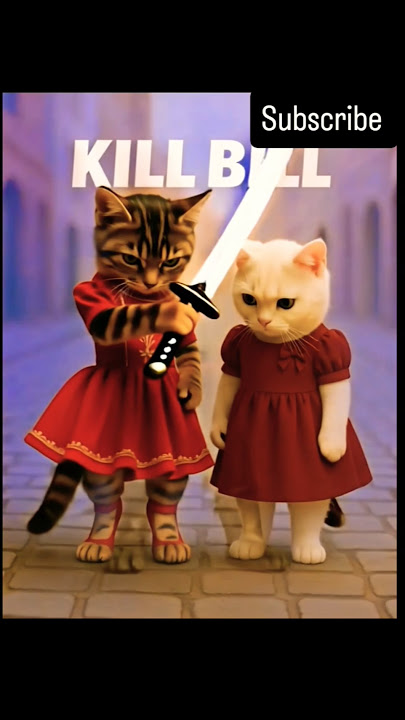 Cat is the Kill Bill 😻💕 #cat #trendingnow #funny #cute #shorts