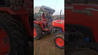 ट्रैक्टर ड्राईविंग 🚜🚜🌾 #farmar #farming farming pka karobar #agriculture