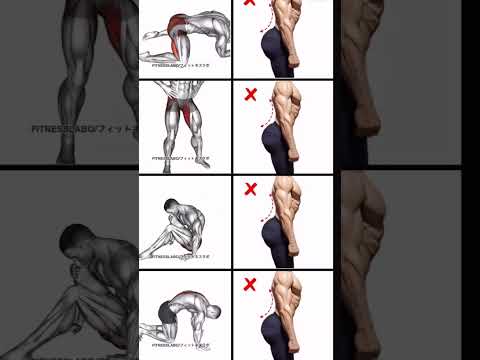 Body tips