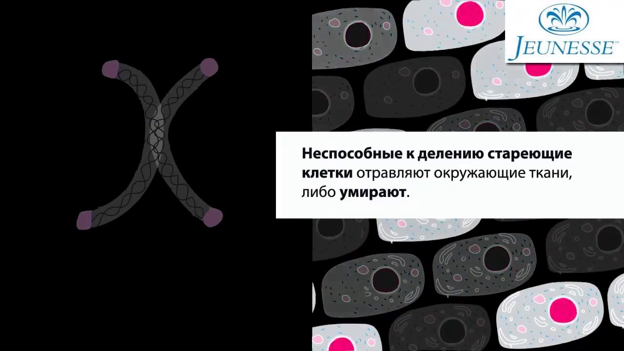 Финити и процесс старения