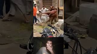 Pagla Guro funny 😂😂 Copines