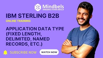IBM Sterling B2B Training || Understanding Application Data Types ||How Application Data Types Work