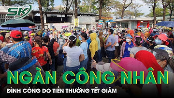 Sốc: Hàng Ngàn Công Nhân Pouchen, Biên Hòa Đình Công Do Thưởng Tết Giảm Sâu | SKĐS