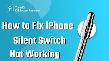 5 Solutions for iPhone Silent Switch Not Working