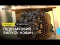&quot;Військовий&quot; ПДФО можуть забрати у громад, історія військового, виведення породи бджіл | 13.09.2023