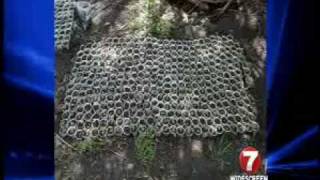 12,500 marijuana plants seized in Idaho