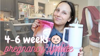 4-6 WEEKS PREGNANCY UPDATE | morning sickness, pregnancy thyroid problems, & solo parenting