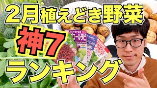 2月に育てられる野菜ランキング7選の紹介とおすすめ品種【家庭菜園初心者でも冬から栽培】