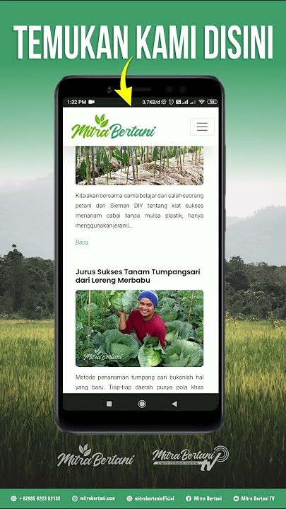Mitra Bertani TV on Website