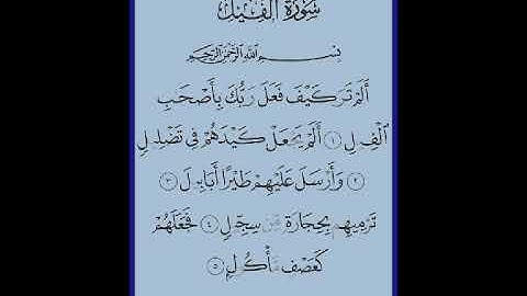 القران الكريم (سورة الفيل) تلاوة هادئة