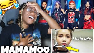 mamamoo using headset mics for the first time REACTION| Favour
