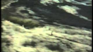 On The Edge Review By Tom New 1986 Bruce Dern