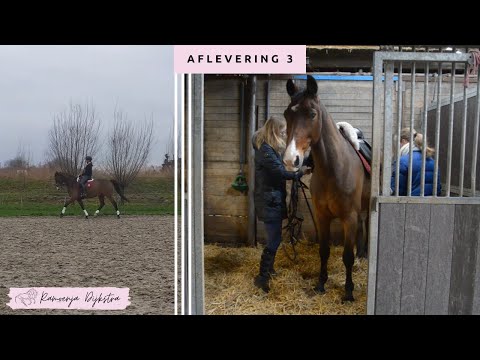 #3 Dressuurles met Zizo | De bende van ellende