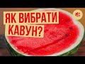 Вкусный Арбуз | Как Выбрать Спелый Арбуз