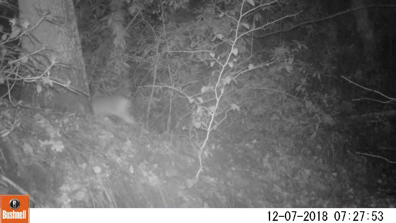 Reewissel Roderveld december 2018