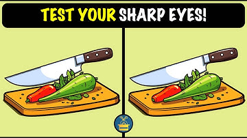 Spot the Difference Puzzles ! (HARD) | Quiz Game | Test Your Sharp Eyes!