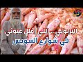 أشهر انواع الأسماك بشوارع السويس معلومة في دقيقة