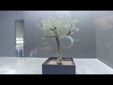 Amplia&ccedil;&atilde;o e Beneficia&ccedil;&atilde;o | Quartel | Bombeiros Volunt&aacute;rios de Ansi&atilde;o