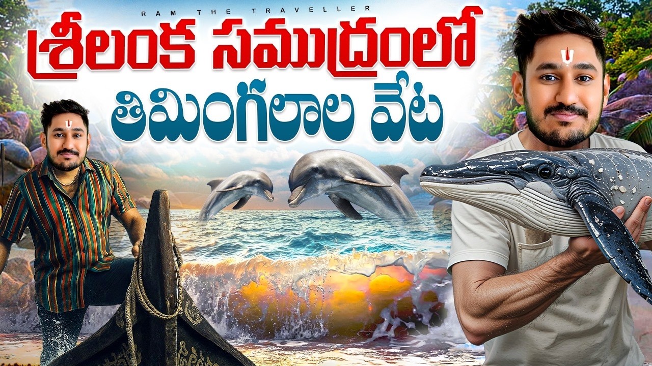 శ్రీ లంక 🇱🇰 లో తిమింగలాల 🐳 వేట || Whale Watching in Mirissa    | Real Boat  Experience Sri Lanka 🇱🇰