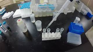 Get to know NSL Analytical Services