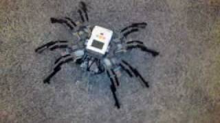 prototype PF/NXT-OMNISPIDER omnidirectional autonomous Lego spider robot