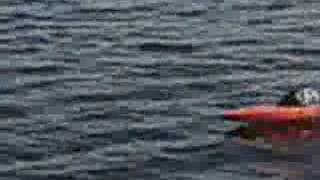 SV27 Supervee27 Blackwater Rollover Cowl Canopy