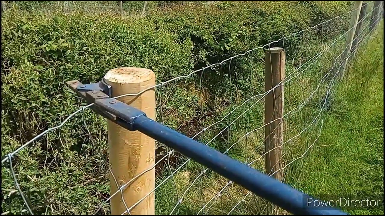 Der Ziegen sichere Zaun