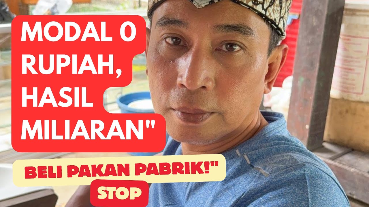 Cara Jadi Miliarder dari 10 Ekor Ayam: Strategi Ternak Tanpa Modal Pakan!