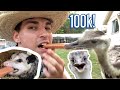 I Feed Glizzys to ALL My Animals! (100k Sub Special)