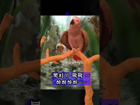 귀여운 똘이는 <strong>시다바리</strong> 입니다~연구대상똘이#shorts