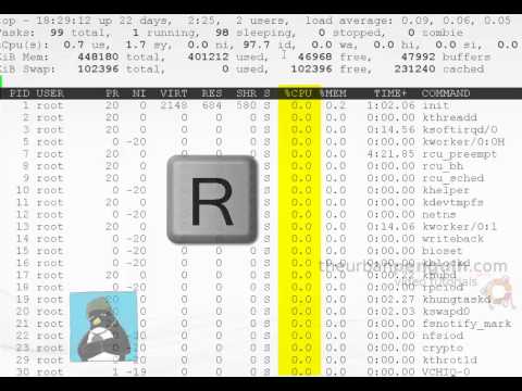 LPIC-1 103.6 Using top in Linux