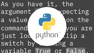 Python argparse command line flags without arguments
