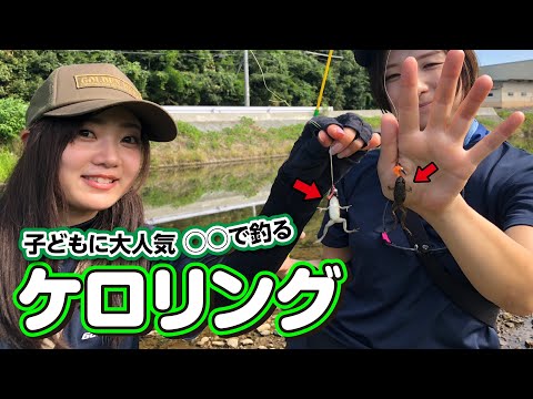 京都府南丹市　カワムツルアー釣り【ガッ釣り関西213】