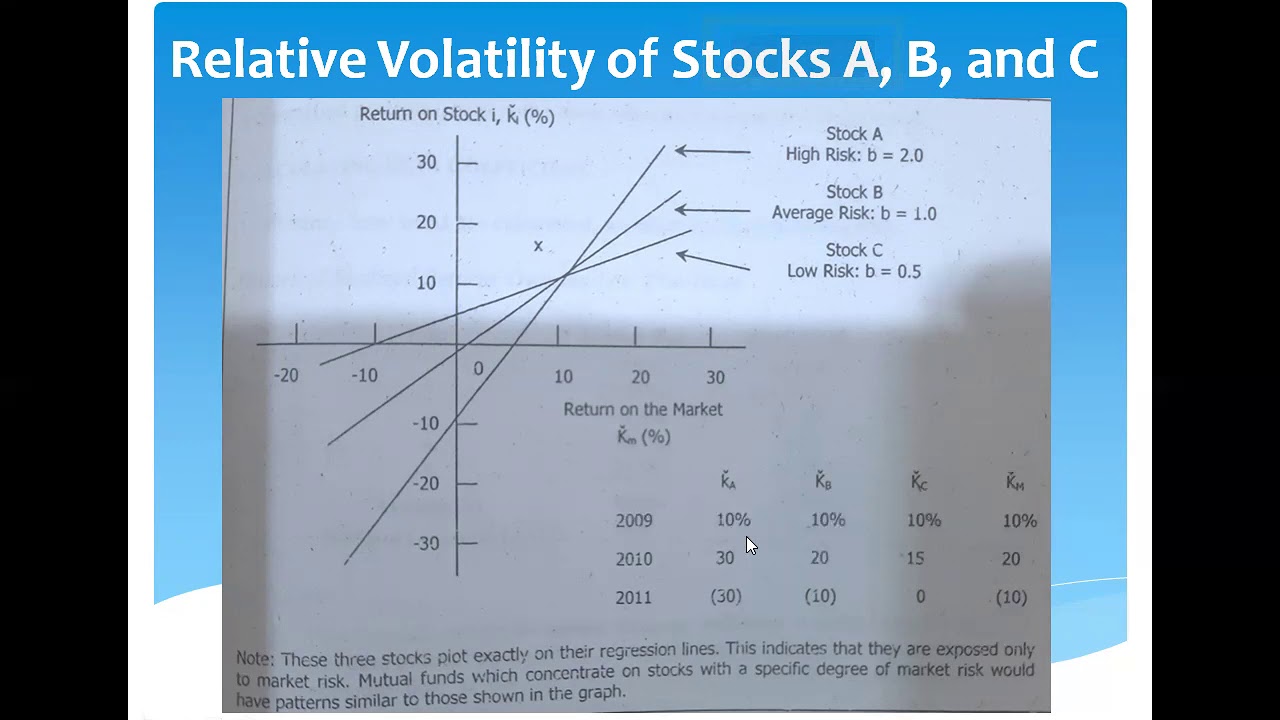 The Beta Coefficient Concept