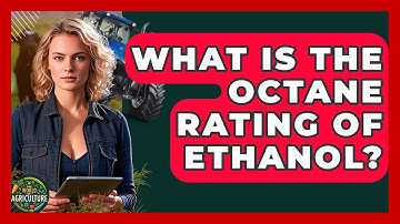 What Is The Octane Rating Of Ethanol? - The World of Agriculture