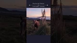 🌍 España Travel Vlog · 1/15 Playa de Tagle en Cantabria · Caballos al atardecer ·
