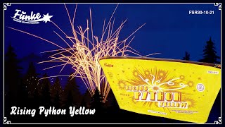 "Rising Python Yellow" - Singlerow with yellow moving comets [Batch 2023] Profile