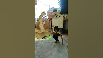 Funny snake nagin vfx video snake video #shorts #youtube