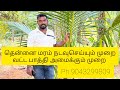 தென்னை மரம் நடவு செய்யும் மற்றும் பராமரிக்கும் முறை