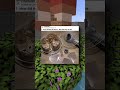 Fuzzy Cat Memes