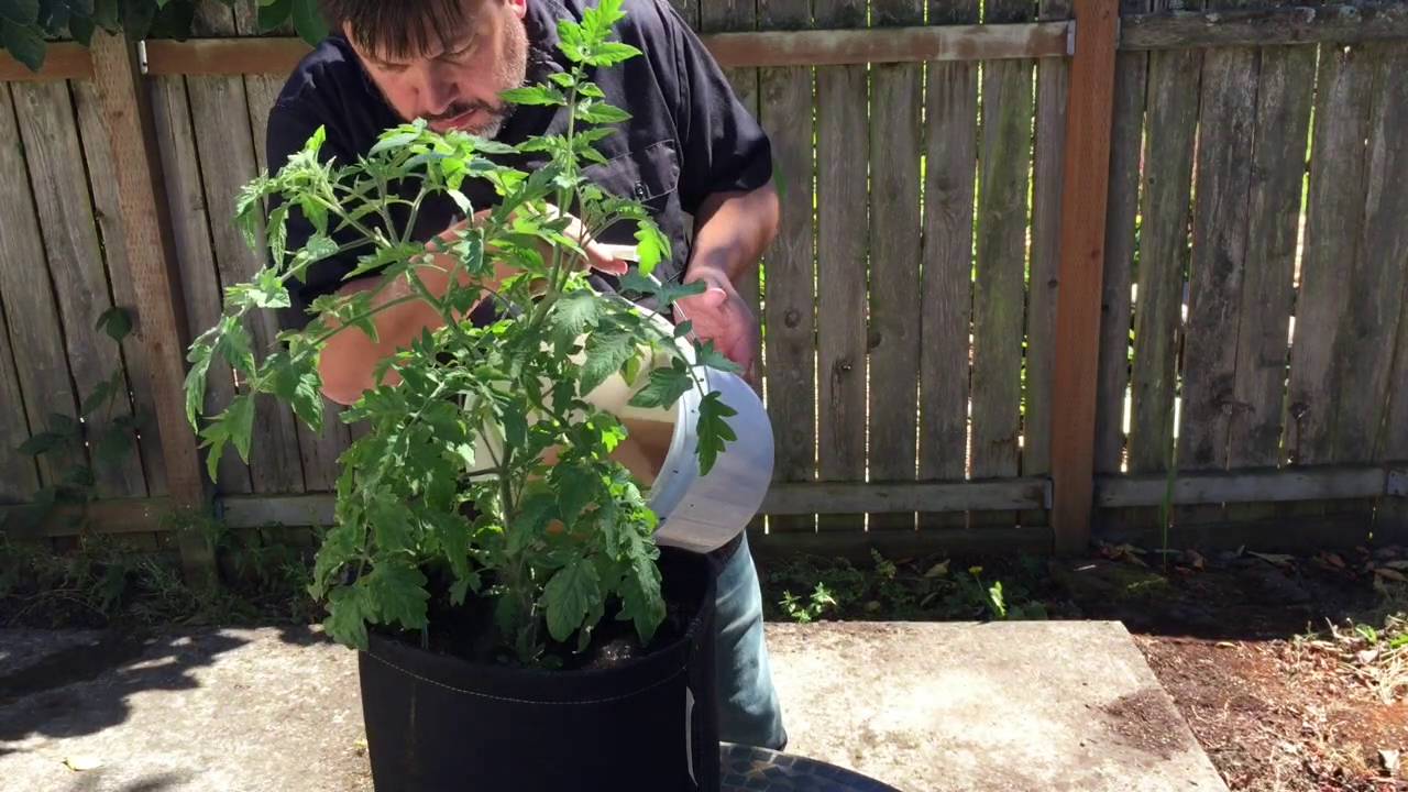 Nectar For The Gods Sample Kit Feeding And Foliar Feeding YouTube