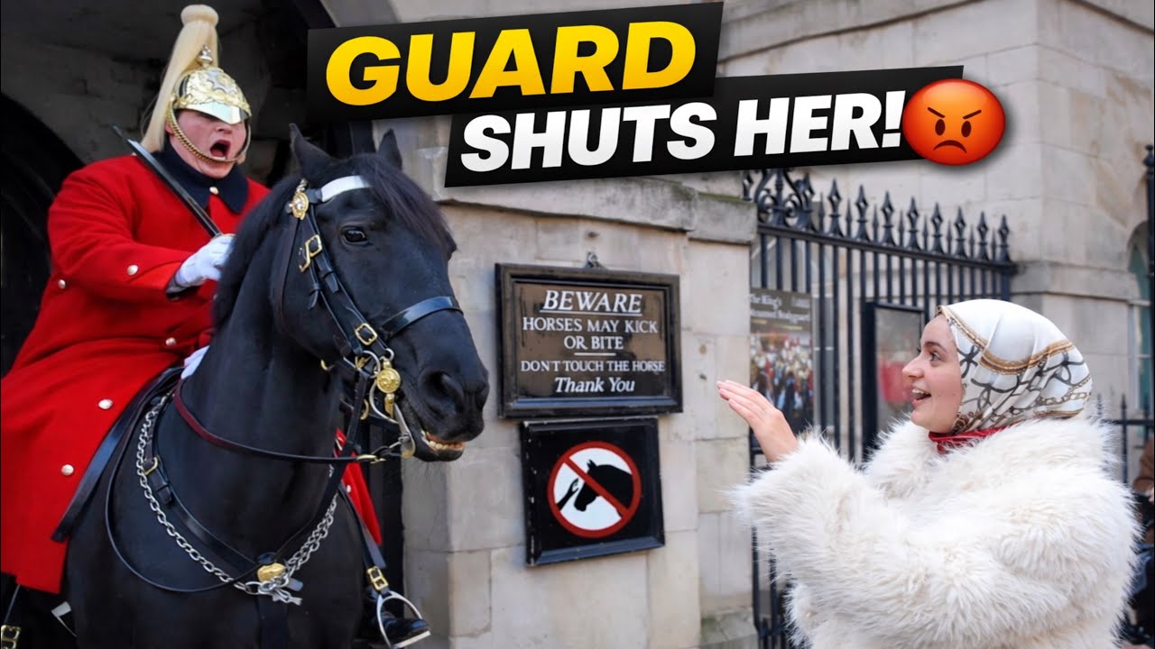 😳Despite the SIGNS, Tourist Tries to TOUCH the Horse — Guard’s SHOUT Stops Her Cold‼️