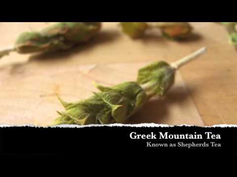 Greek Mountain Tea