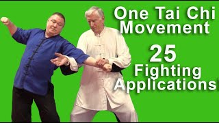 One Tai Chi Movement 25 Self-Defense Applications screenshot 1