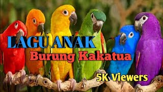 No Copyright | Lagu Anak Nusantara | Burung Kakatua | Backsound | NCS | 5 K Viewers