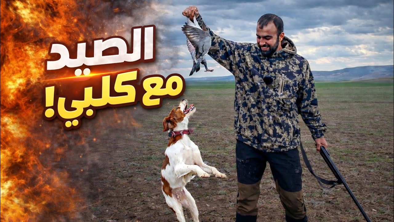 صيد الحمام الجبلي 🕊️🔥 الطيور الجارحة سرقت الحمام تبعنا 😱