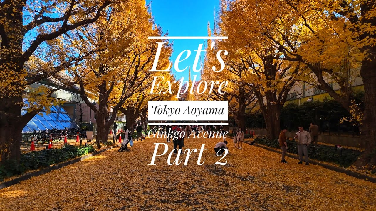 Let's Explore Tokyo! Aoyama Ginkgo Avenue Walking Tour Episode 2 4k