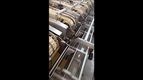 Biscuit stick counting packing machine